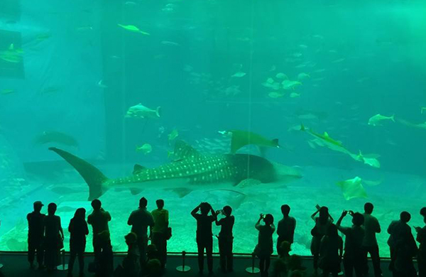 같이 만드는 여행 - 오키나와