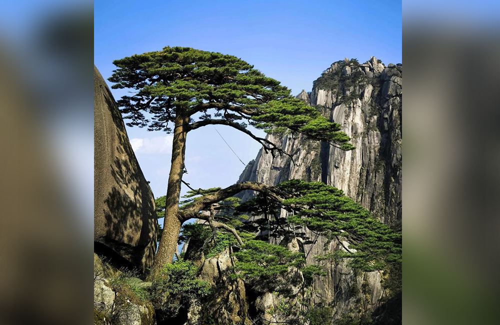 천하명산 황산, 항주여행