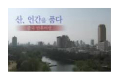 방송제작 & 코디