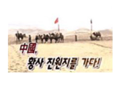 방송제작 & 코디