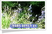 중국의 숨은 비경, 신농지아 