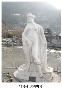 yang1.jpg