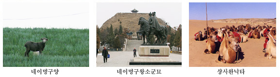 3cols_monggo2.jpg